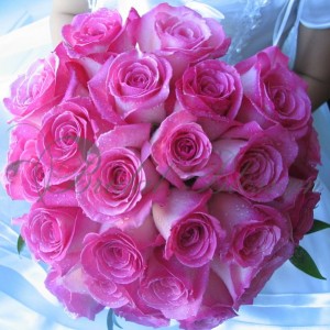 59 - Pink roses